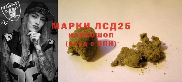 хмурый Туринск