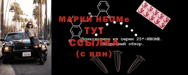 твердый Новодвинск