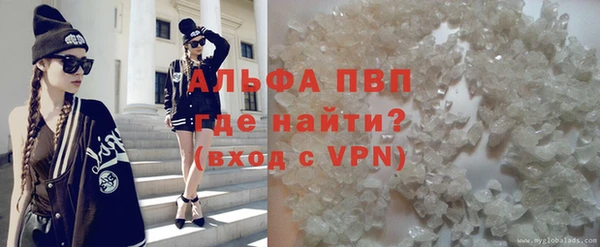 твердый Новодвинск